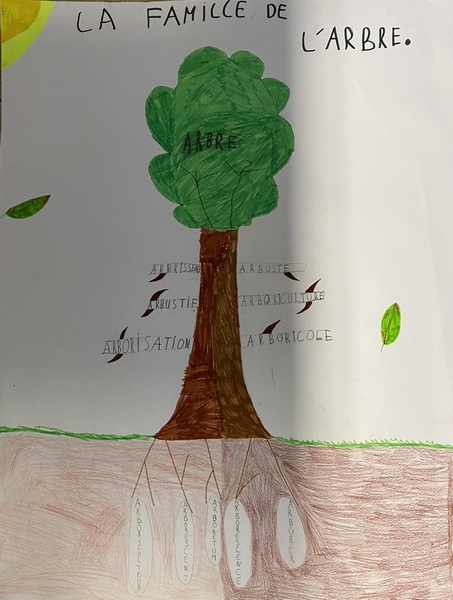 Affiche - La famille du mot arbre