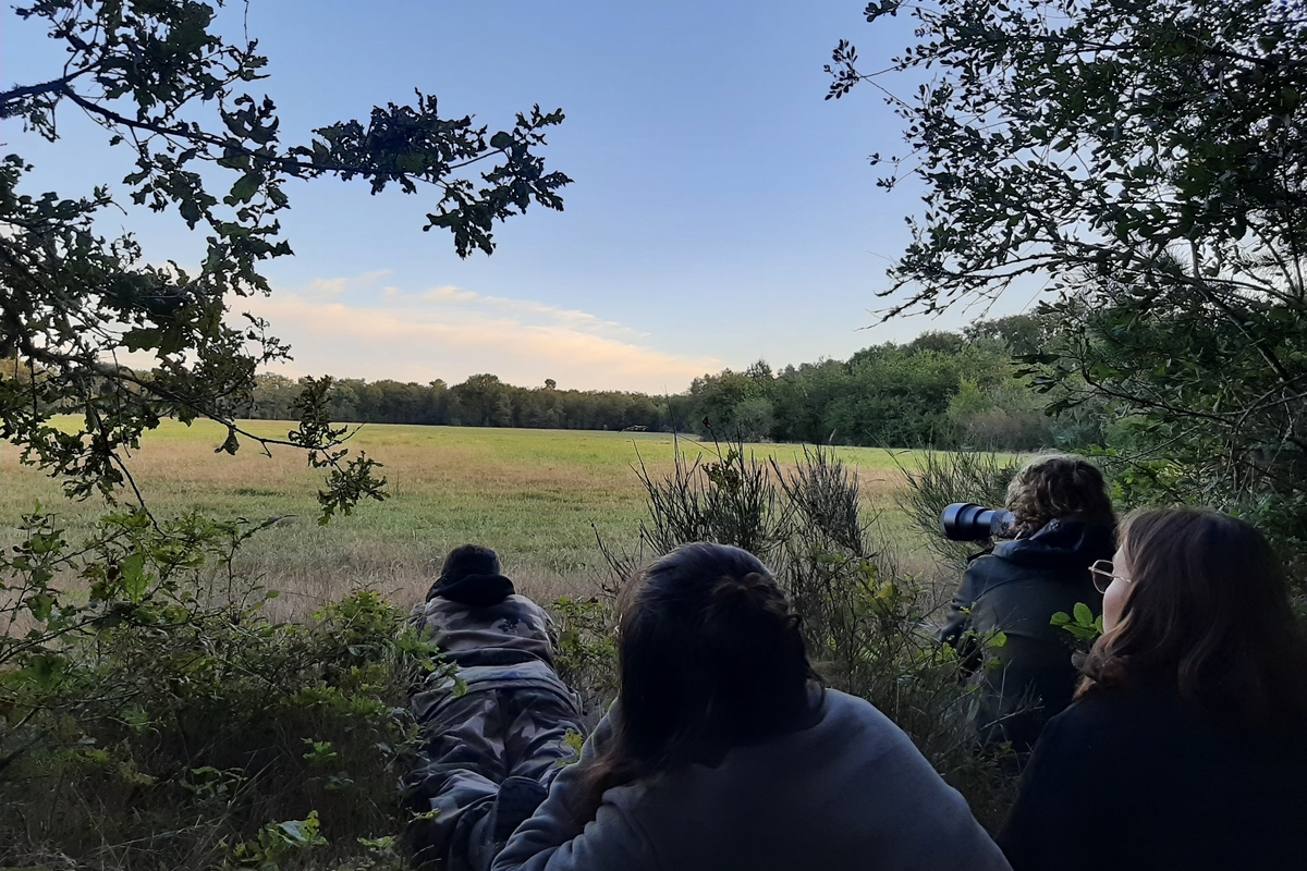 Lire la suite à propos de l’article Bivouac aux Grands Coudrays