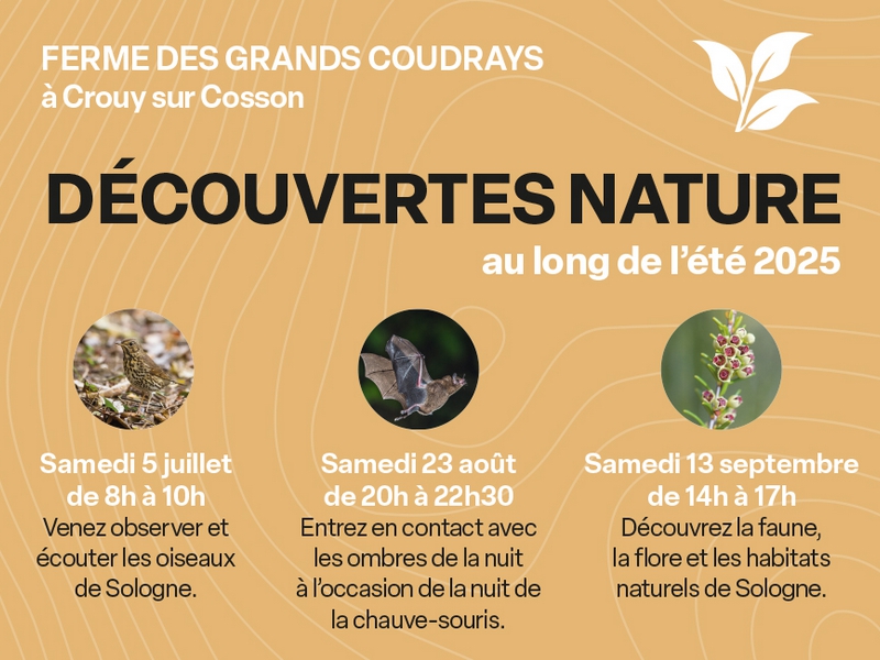 Lire la suite à propos de l’article Sorties nature 2025