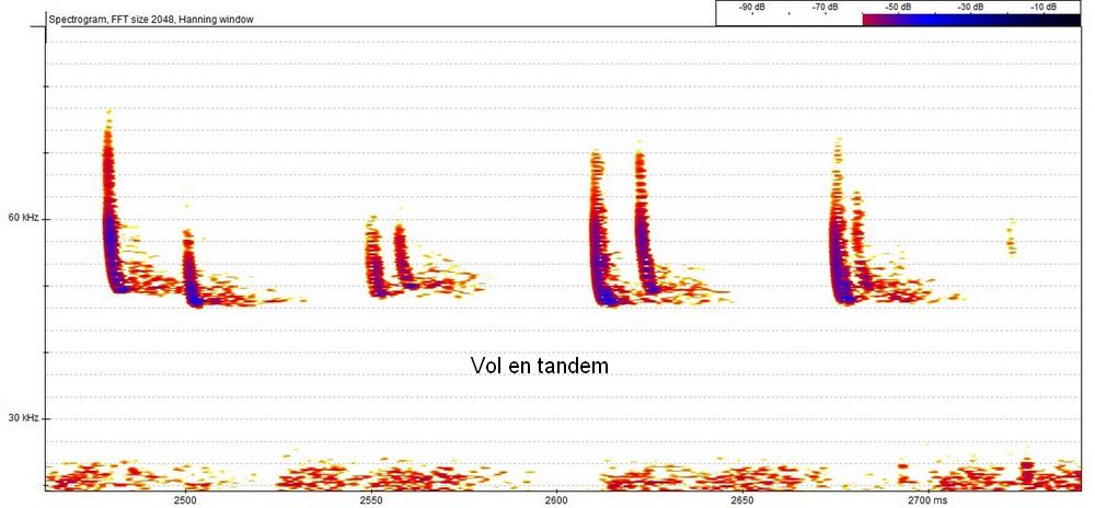vol en tandem3