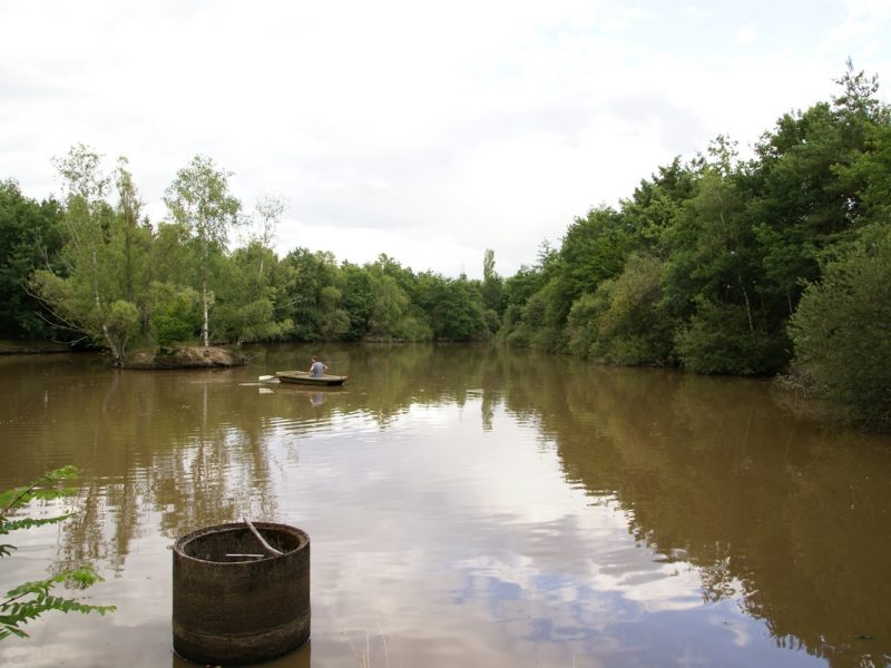 l'étang