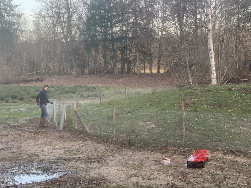 Installation de l'ex-clos