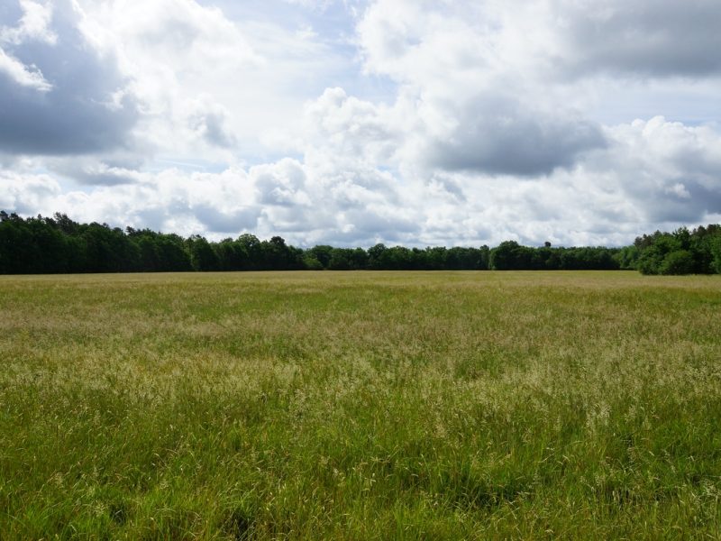 la grande prairie