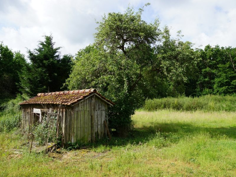 l'ancien poulailler