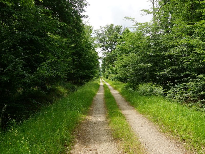 le chemin rural