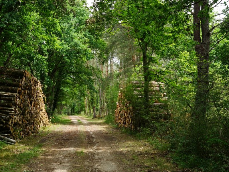 le chemin rural