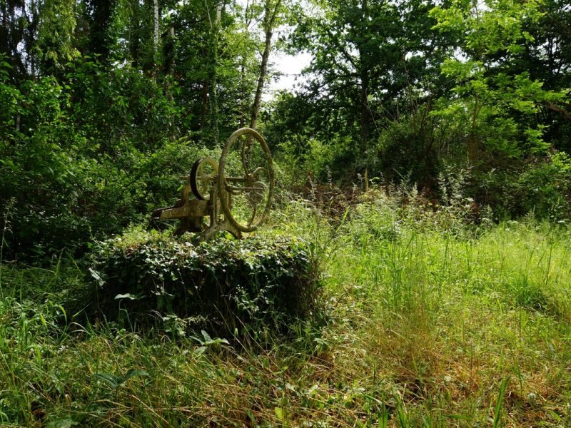 le vieux puits